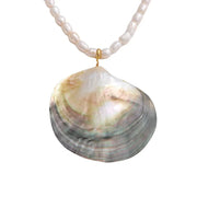 Collier Coquillage